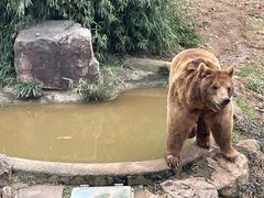 -无锡动物园·太湖欢乐园