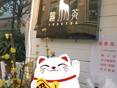 -麓茶