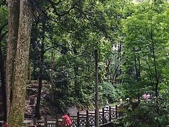 -凤栖山