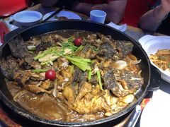 -老板恋上鱼(恒隆广场店)