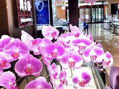 -翠微百货(龙德店)