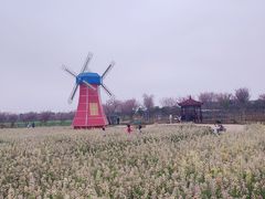 -武汉紫薇都市田园