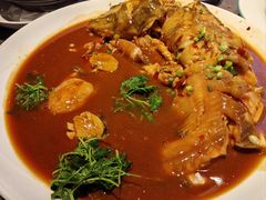 鮰鱼烧鲍鱼-富临轩私房菜(集庆门大街店)