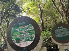 -海南铜鼓岭景区