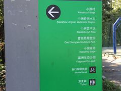 -小洲村