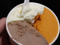 -Dip in Gelato(富民路店)