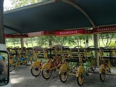 -合肥滨湖国家森林公园