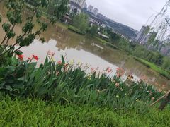 -沐仙湖湿地公园