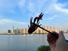 -聚味瞿记·龙虾堂(渔人码头一店)