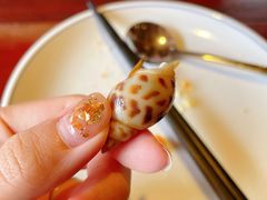 花雕醉香螺-大牌大·传统杭帮菜(湖滨店)