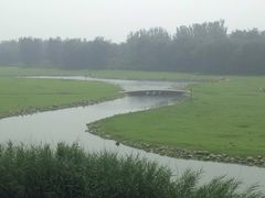 -北京麋鹿生态实验中心