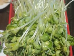 -番食园鲜食火锅(高新店)