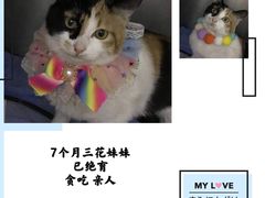 -万达广场(松江店)