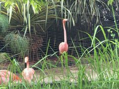 android_upload_pic-河川生态园