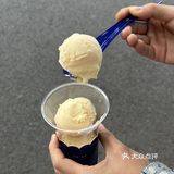 成都新店｜卧槽终于吃到热巴喜欢的酸奶疙瘩