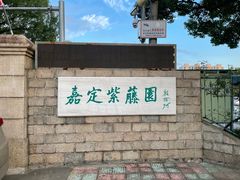 -嘉定紫藤园
