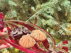 -Mammamia意大利餐厅(阳春巷店)