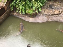 -清迈夜间动物园