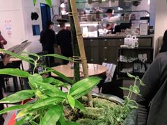 -gaga(深圳南山益田假日广场店)