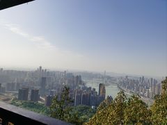 -南山植物园