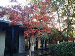 -禧宴Joyous Restaurant(禧园店)