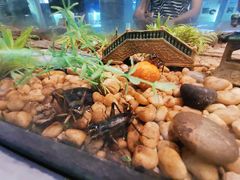 -上海昆虫博物馆