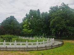 -丰台花园