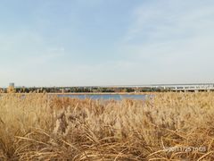 -绿堤公园