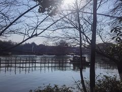 -乌镇景区