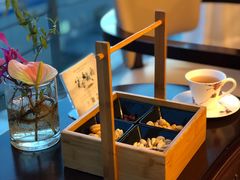 -诺莱仕游艇会