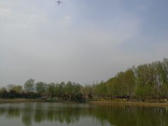 -东郊湿地公园
