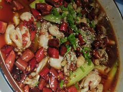 -雲蜀龙阁·金牌水煮鱼(方庄店)