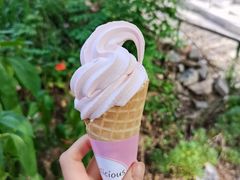 -风车面包