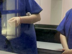 -严国平动物医院(德政总院)