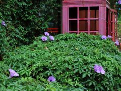 -糖果时光文创产业园