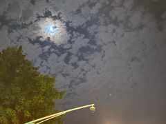 -丁老爷子苏香圆