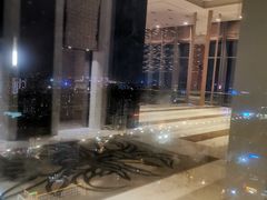 -视界美食自助餐厅·石家庄希尔顿酒店