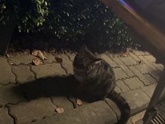 -宝莱纳餐厅(滨江店)