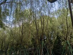 -柳浪闻莺公园