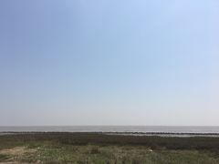 -南汇嘴观海公园