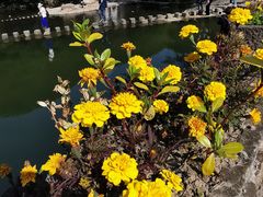 -鹿亭中村