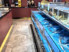 -张家卫·阳江菜·小海鲜(肥婆湾桥店)