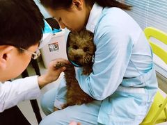 -纳吉亚猫专科动物医院博雅分院