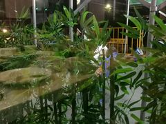 -八方客汕头火锅·牛肉·卤水(福保店)