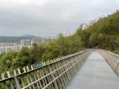 -福道
