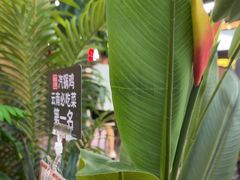 -云海肴·汽锅鸡·云南代表菜(天山百盛优客店)