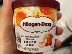 -哈根达斯(西安北郊店)
