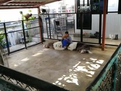 -TrueLove @ Neverland (Husky Cafe)