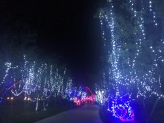 -南通鲜花小镇