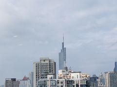 -紫峰大厦